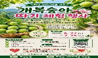 개복숭아 따며 이웃사랑 실천…가평 호산농원, 5년째 나눔 체험행사 개최