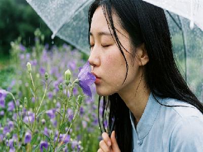 장마비 속 고운 자태를 드러낸 '청도라지 꽃'